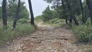 Ο δρόμος προς το πυροφυλάκιο της Αχλαδούλας είναι δύσβατος για επιβατικό αυτοκίνητο.